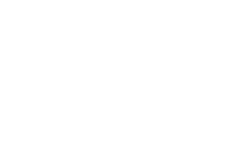 GoldFritz USA